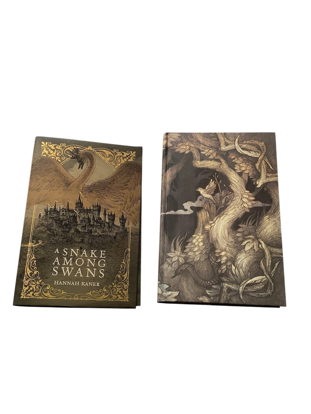 A Snake Among Swans By Hannah Kaner Illumicrate Special Edition